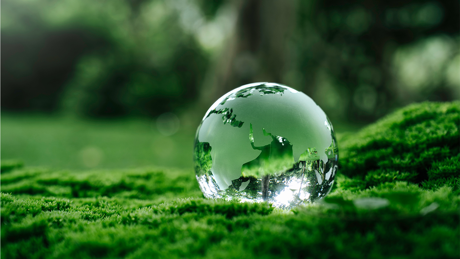 Can pharma packaging be sustainable and affordable?